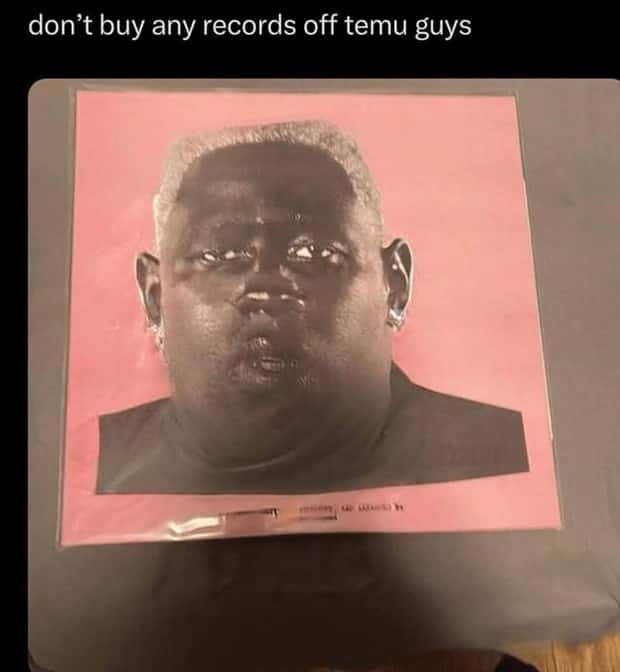 35 Eccentric Items Available on Temu (35 photos)