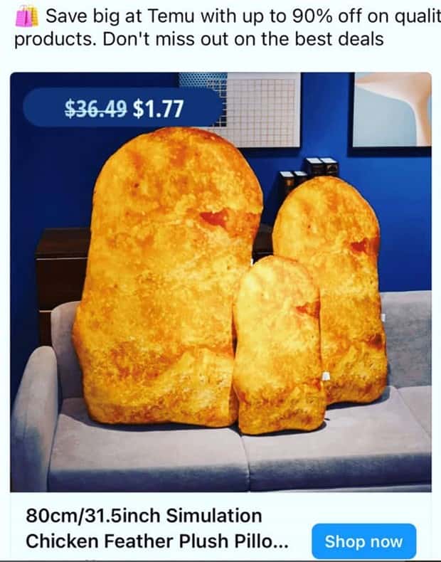 35 Eccentric Items Available on Temu (35 photos)