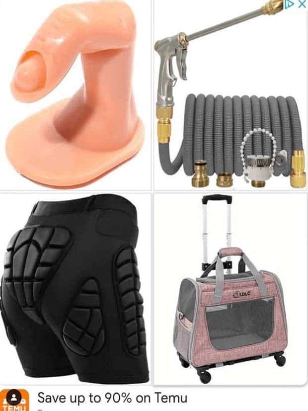 35 Eccentric Items Available on Temu (35 photos)