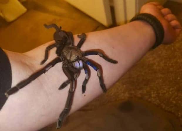 35 More WTF Photos, Because Why Not!?