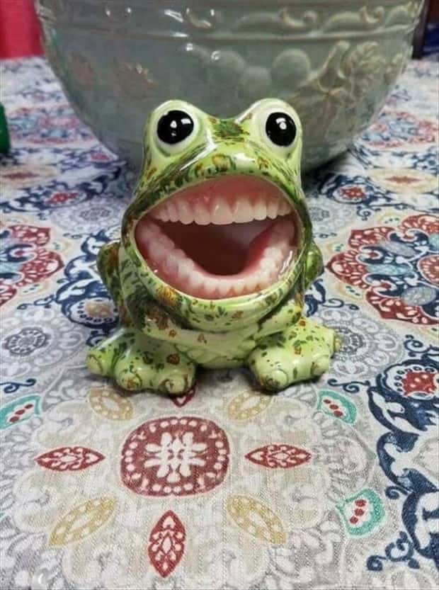 35 More WTF Photos, Because Why Not!?