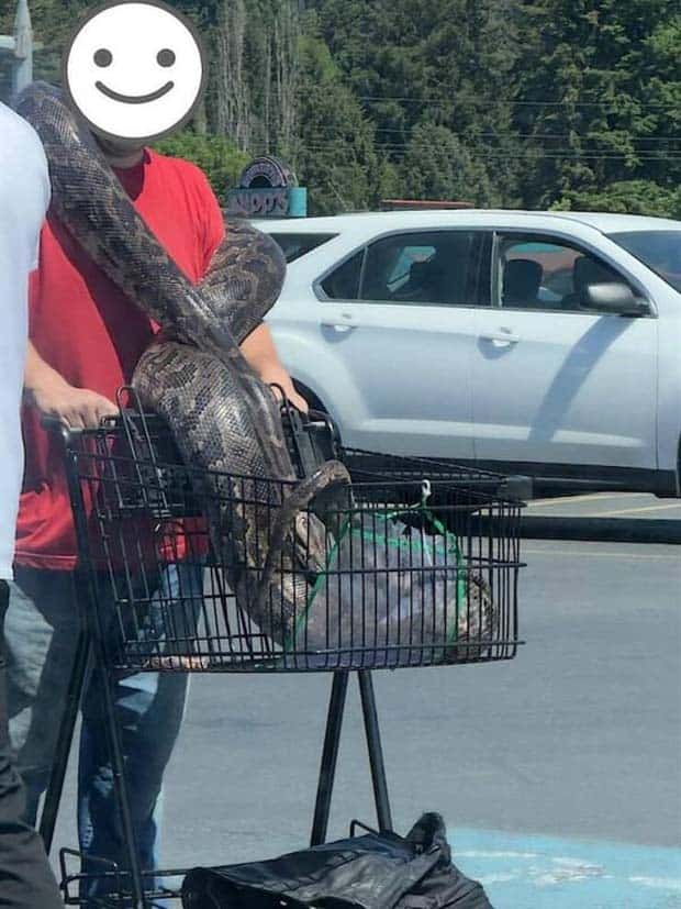 35 More WTF Photos, Because Why Not!?