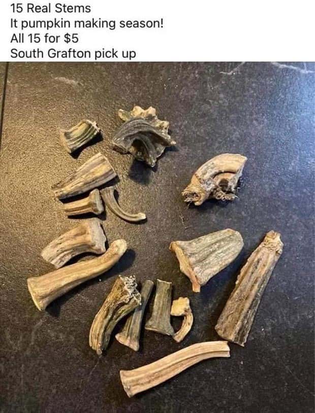 40 Baffling Things Being Sold Online (40 photos)