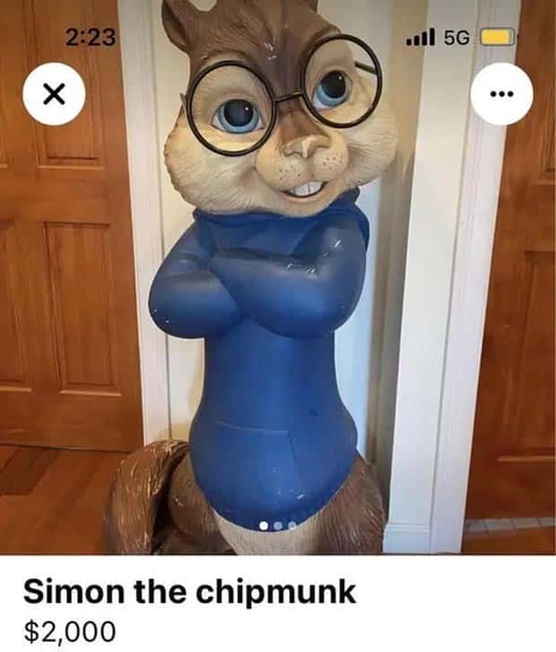 40 Baffling Things Being Sold Online (40 photos)