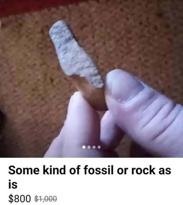 40 Baffling Things Being Sold Online (40 photos)