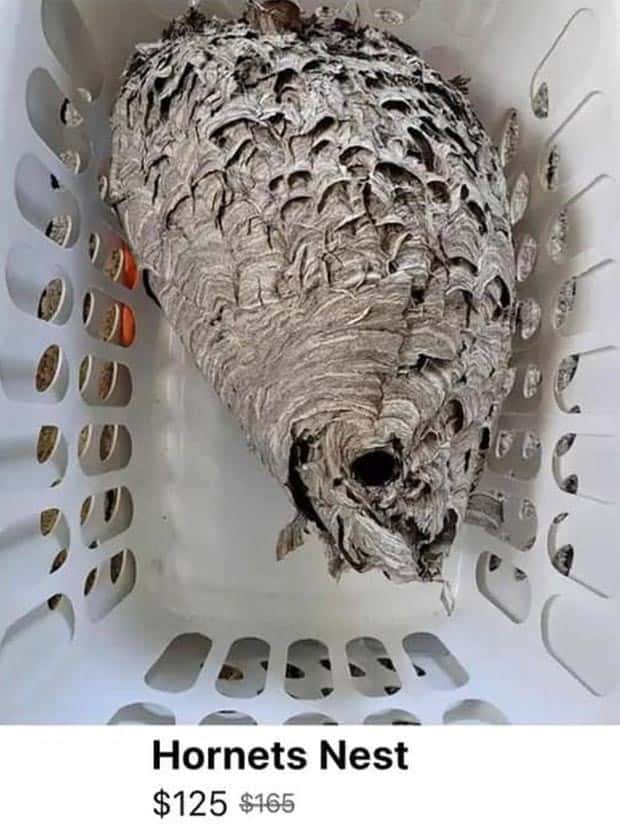 40 Baffling Things Being Sold Online (40 photos)