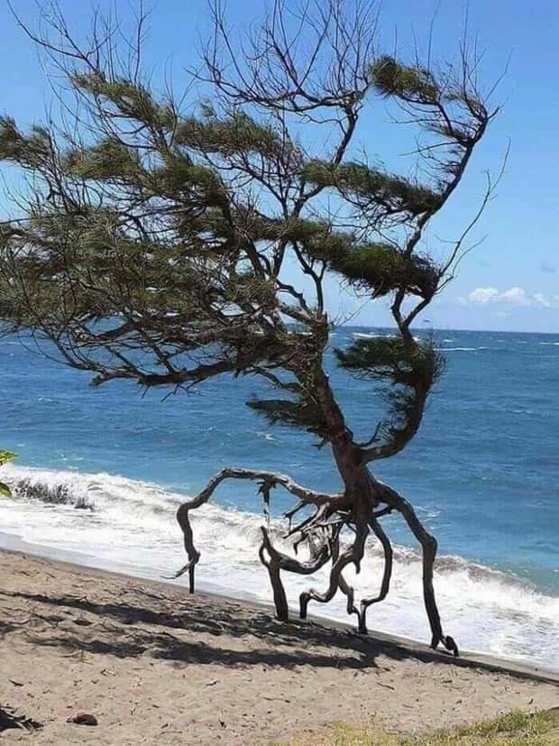 awesome pics 9 Awesome Pictures You Shouldn’t Miss #110 (25 photos)