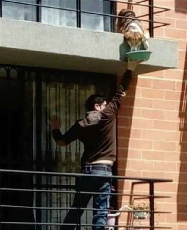 awesome pictures 17 2 Awesome Pictures You Shouldn’t Miss #112 (26 photos)