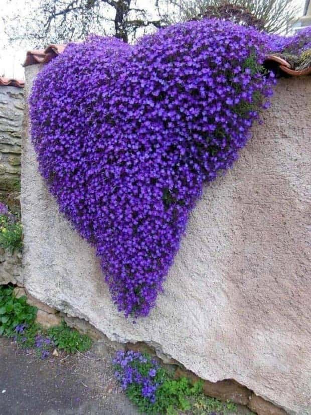 awesome pictures 21 2 Awesome Pictures You Shouldn’t Miss #112 (26 photos)