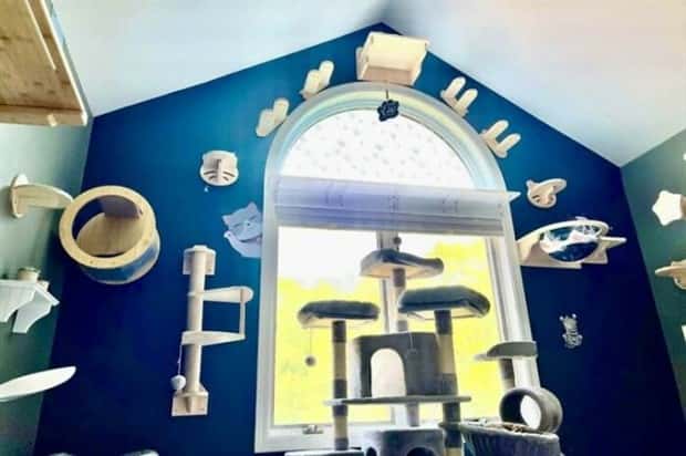 Perfect Cat Friendly Living Spaces (27 photos)