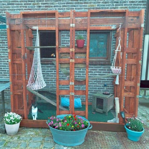 Perfect Cat Friendly Living Spaces (27 photos)