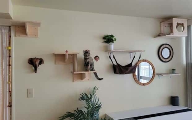 Perfect Cat Friendly Living Spaces (27 photos)