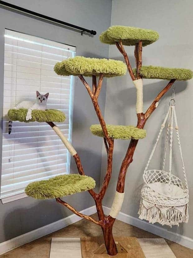 Perfect Cat Friendly Living Spaces (27 photos)