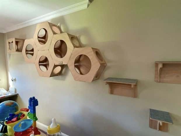 Perfect Cat Friendly Living Spaces (27 photos)