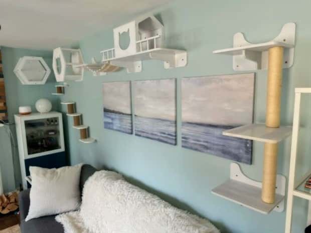 Perfect Cat Friendly Living Spaces (27 photos)