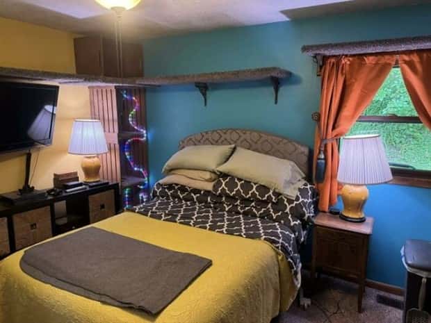 Perfect Cat Friendly Living Spaces (27 photos)