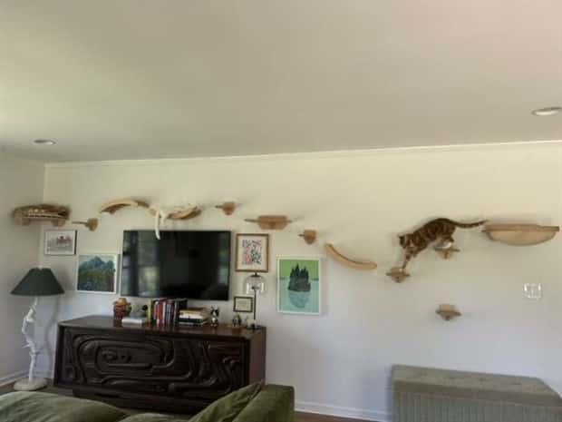 Perfect Cat Friendly Living Spaces (27 photos)