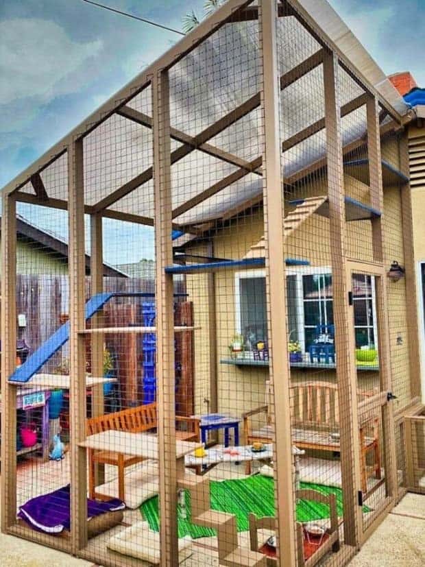 Perfect Cat Friendly Living Spaces (27 photos)