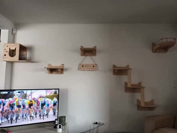 Perfect Cat Friendly Living Spaces (27 photos)