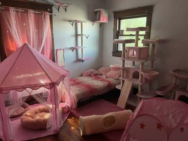 Perfect Cat Friendly Living Spaces (27 photos)