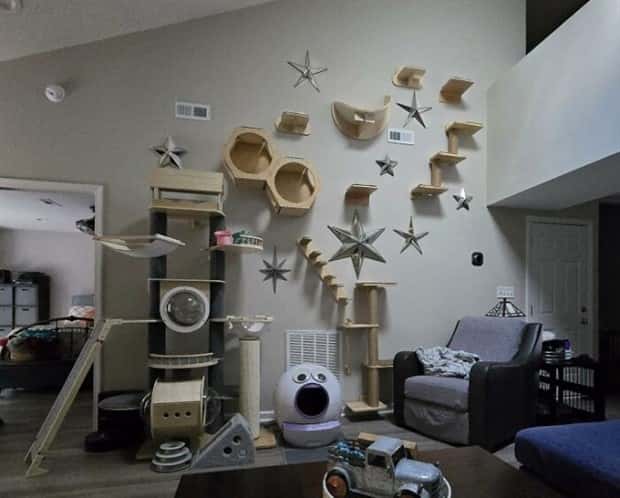 Perfect Cat Friendly Living Spaces (27 photos)