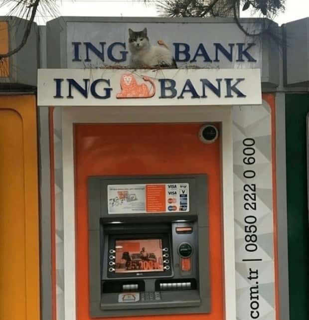 coincidences in life 23 Funny Coincidences in Everyday Life (34 photos)