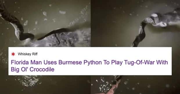 florida man headlines 19 30 Insane Florida Man Headlines You Wont Believe (30 photos)