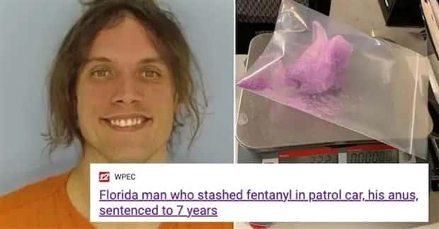 florida man headlines 29 30 Insane Florida Man Headlines You Wont Believe (30 photos)