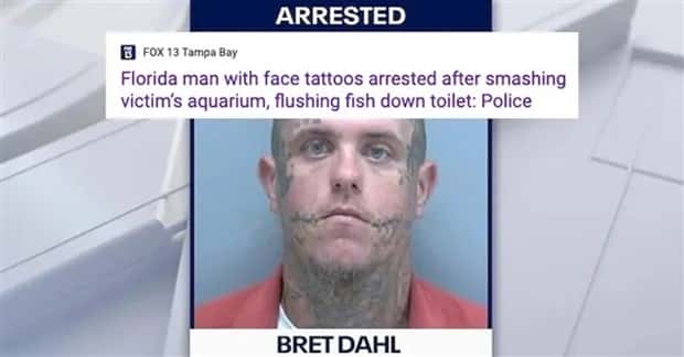 florida man headlines 30 30 Insane Florida Man Headlines You Wont Believe (30 photos)
