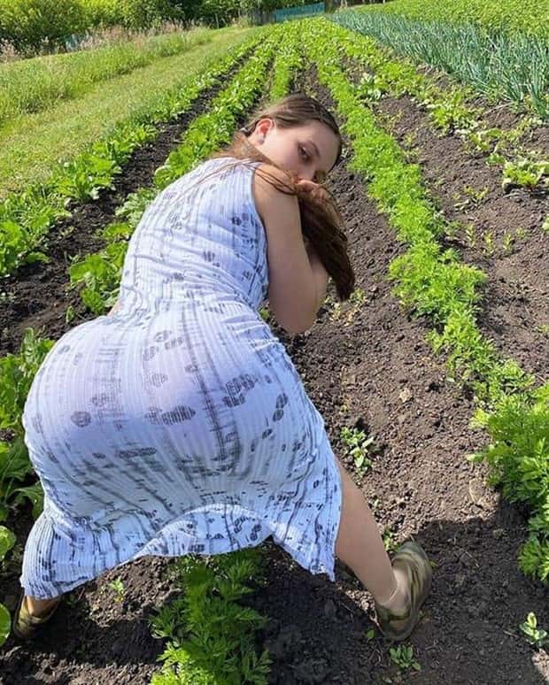 A Little Fun for Adults #357 (26 photos)