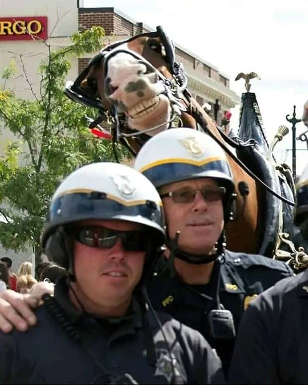 Get Ready for Funny Animals #343 (26 photos)