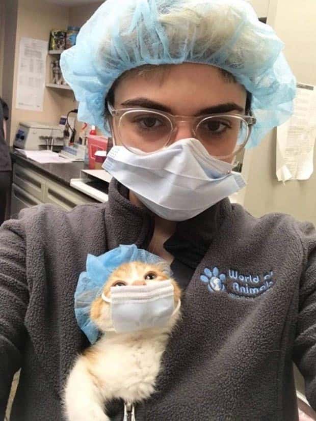 funny animals 22 Get Ready for Funny Animals #340 (23 photos)