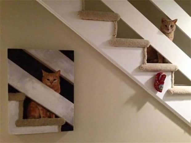 Get Ready for Funny Animals #341 (28 photos)