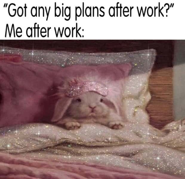 Funny Pics and Memes to Make You Laugh #113 (25 photos)