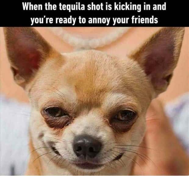 Funny Pics and Memes to Make You Laugh #113 (25 photos)