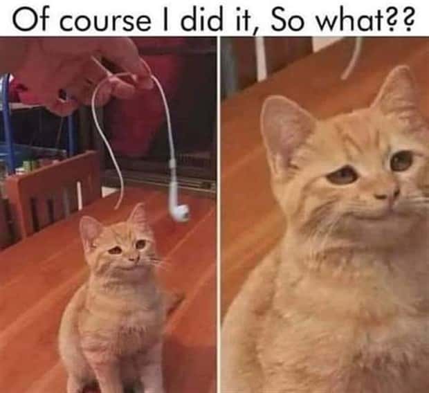 Funny Pics and Memes to Make You Laugh #113 (25 photos)