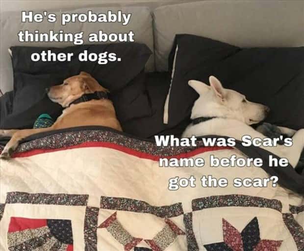 Funny Pics and Memes to Make You Laugh #113 (25 photos)