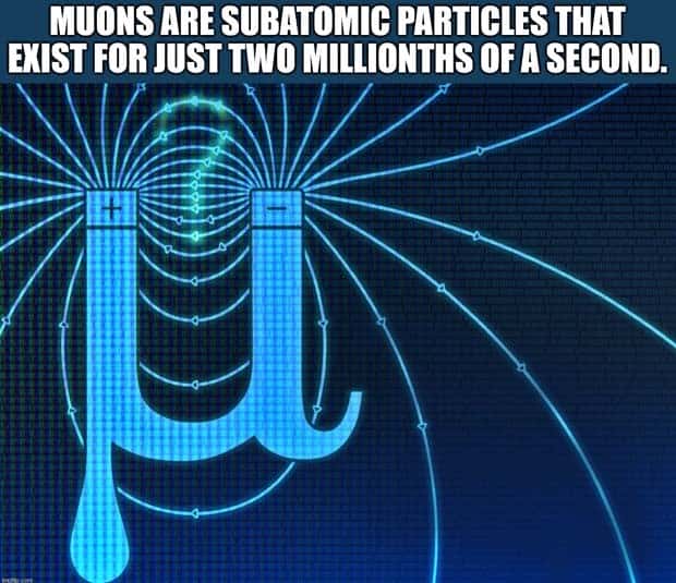 It’s Time for Some Cool and Interesting Facts #385 (26 photos)