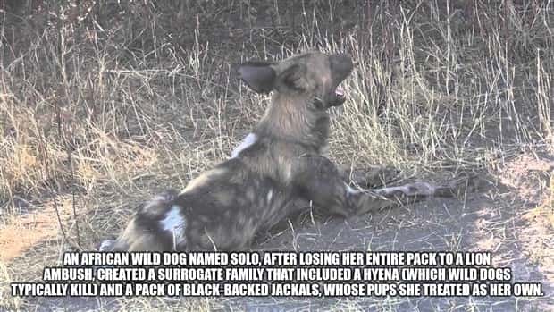 It’s Time for Some Cool and Interesting Facts #385 (26 photos)