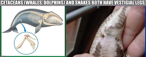 It’s Time for Some Cool and Interesting Facts #386 (27 photos)