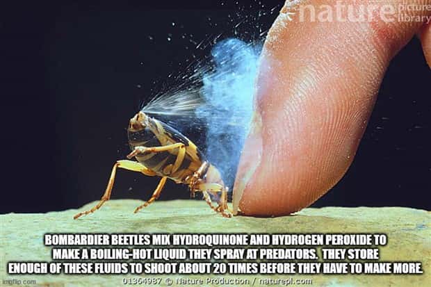 It’s Time for Some Cool and Interesting Facts #386 (27 photos)