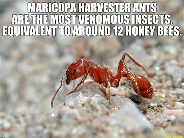 It’s Time for Some Cool and Interesting Facts #386 (27 photos)