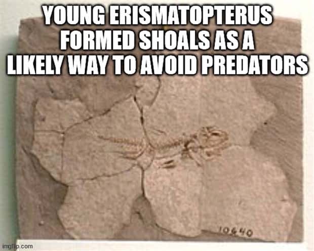 It’s Time for Some Cool and Interesting Facts #385 (26 photos)