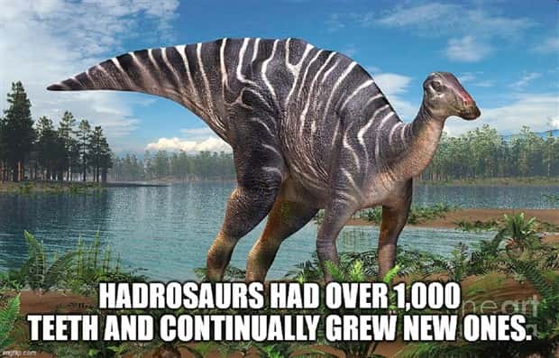 It’s Time for Some Cool and Interesting Facts #386 (27 photos)