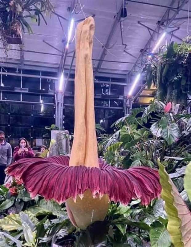 Klyker Picdump #1503 (43 photos)