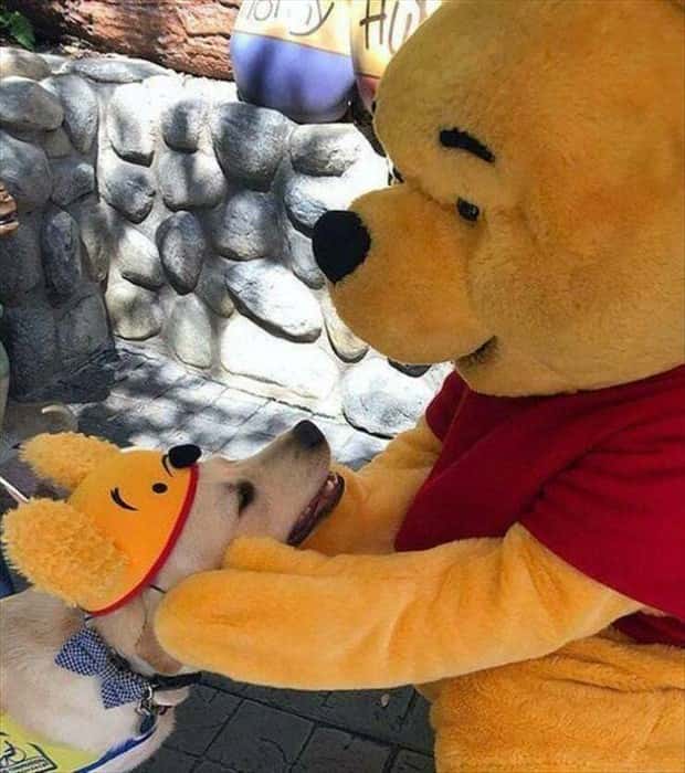 Klyker Picdump #1503 (43 photos)