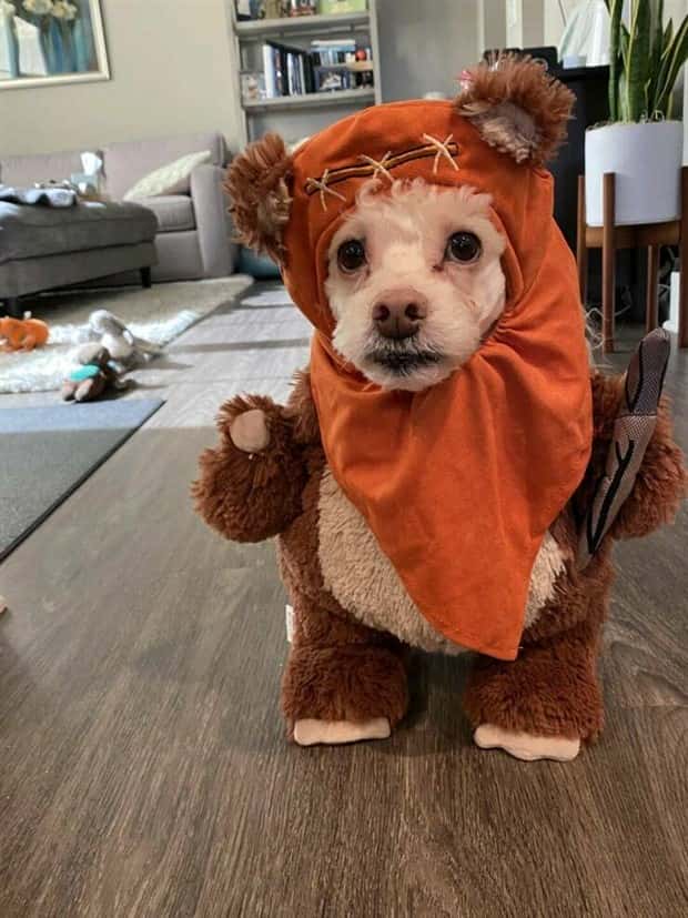 Klyker Picdump #1503 (43 photos)