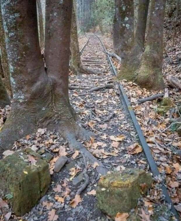 Klyker Picdump #1503 (43 photos)