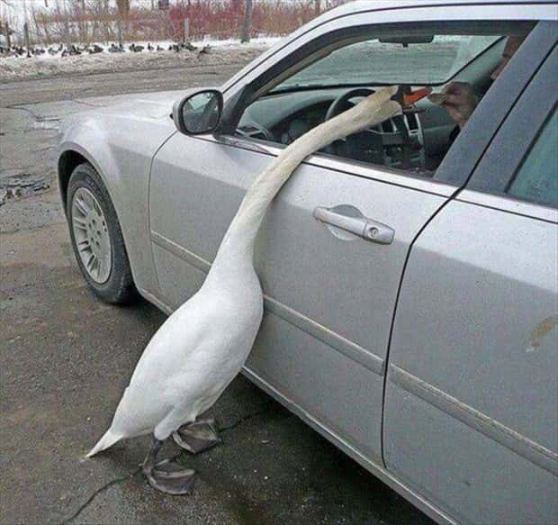 Klyker Picdump #1503 (43 photos)