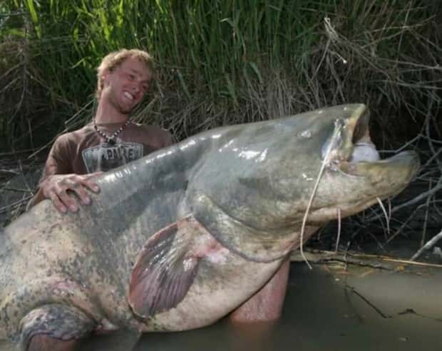 Klyker Picdump #1503 (43 photos)